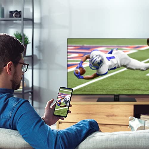 Version 100 Menagerco